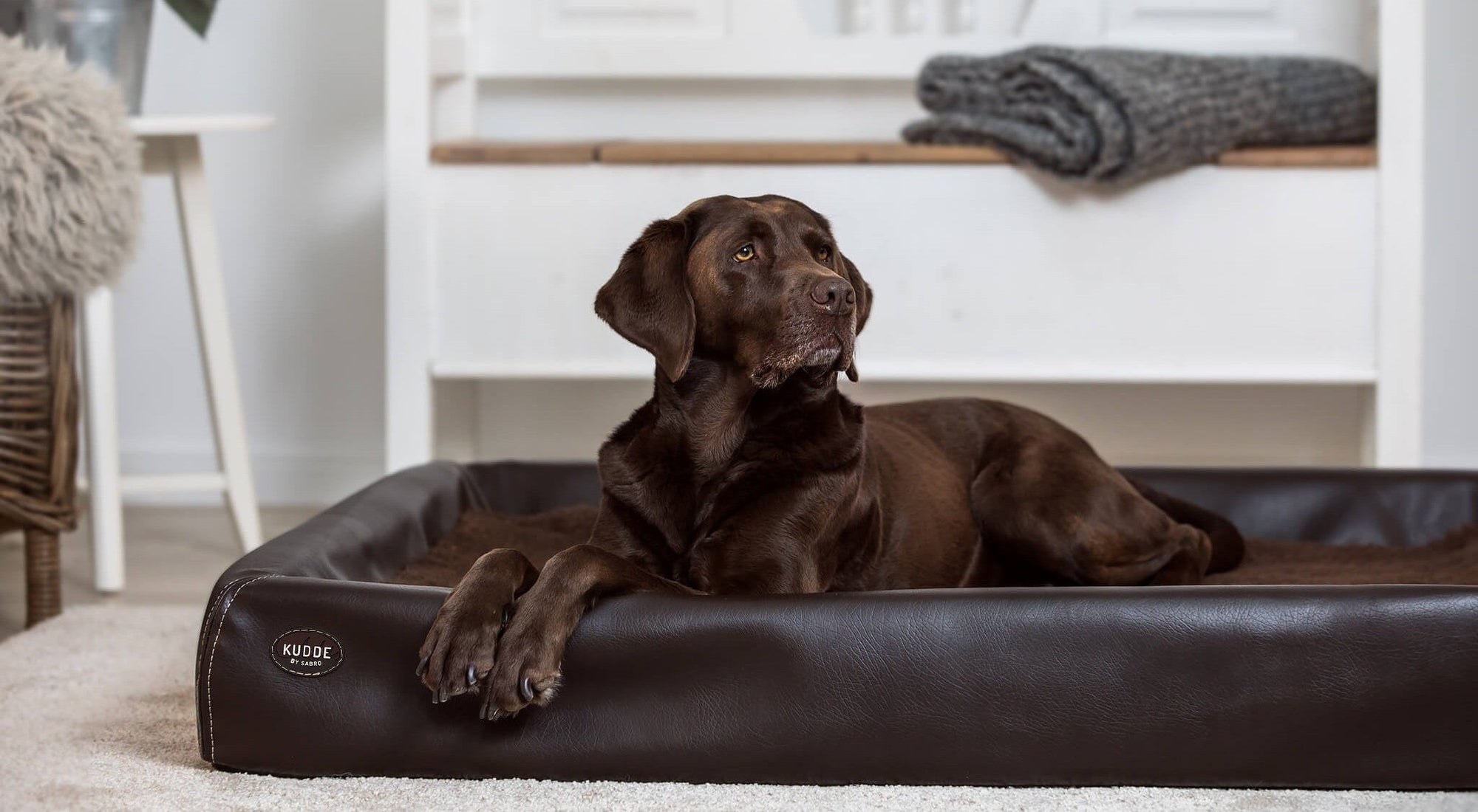 Das KUDDE Hundebett: Schlafsystem & Aufbau im Detail