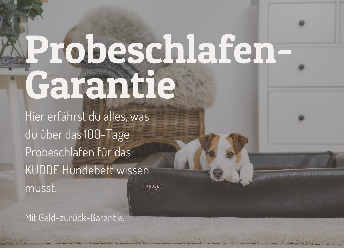 Hero-Probeschlafen_Mobil