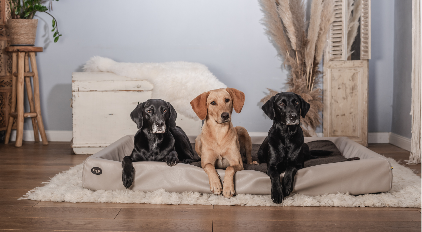 Blog-Hundebett-Größe-Hero