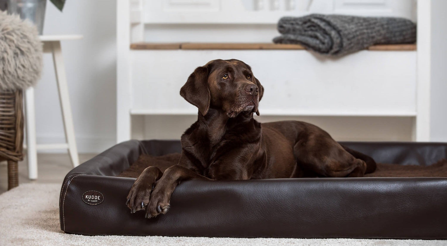 Das KUDDE Hundebett: Schlafsystem & Aufbau im Detail
