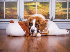 Ankuschelhund TOBI