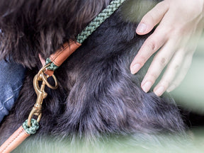 Hundehalsband OUTDOOR Rundzug