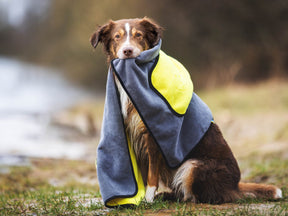 Handtuch BUDDY für Hunde