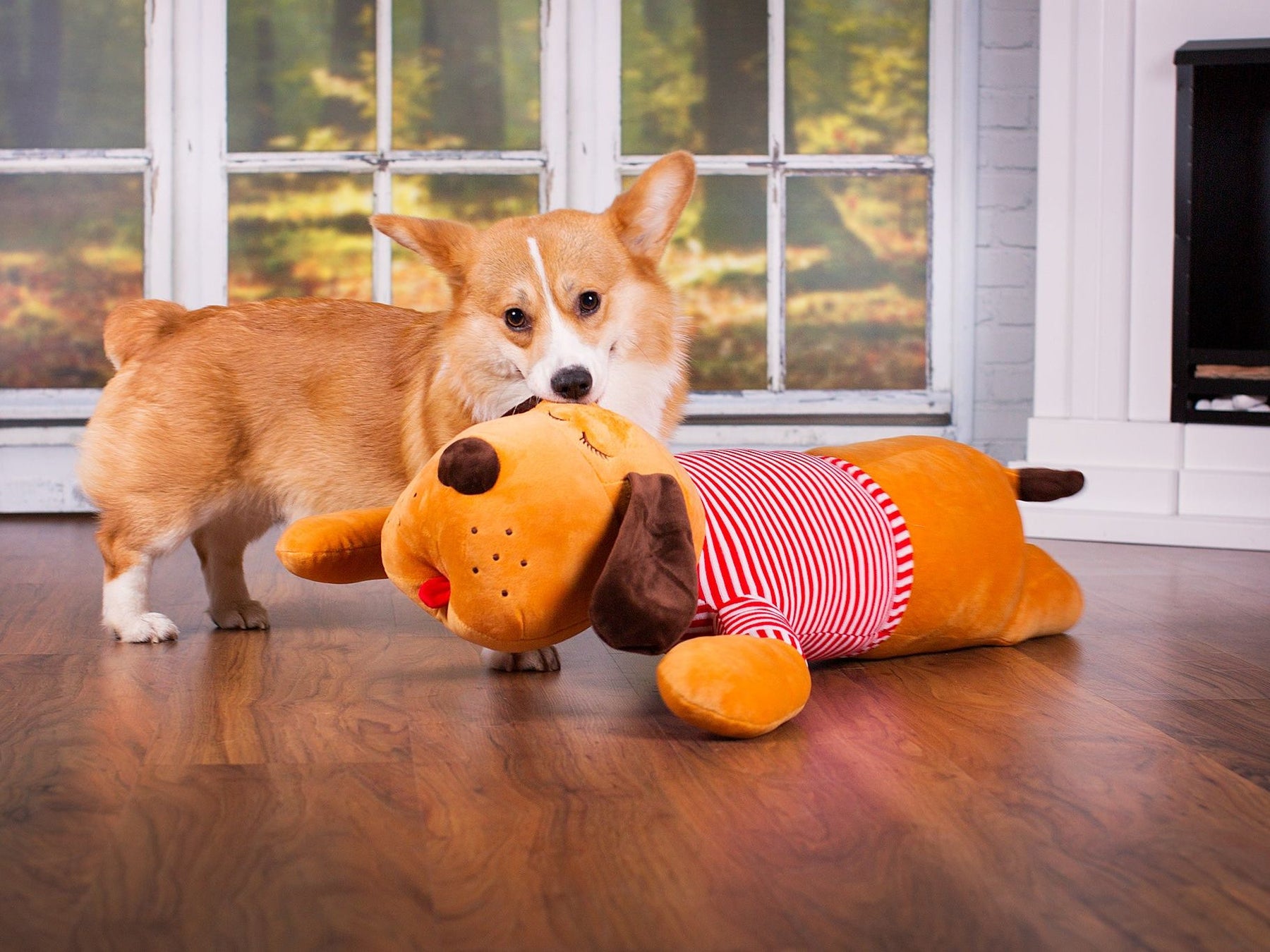 Ankuschelhund TOMTE