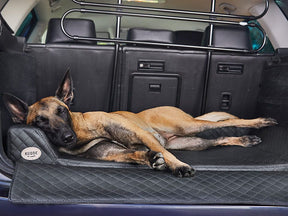 Auto Hundebett Vagn