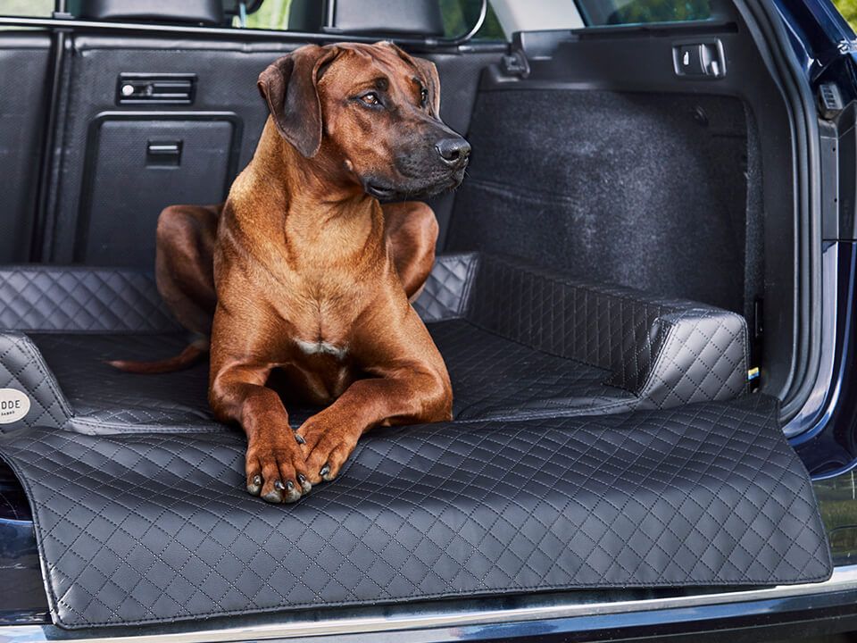 Auto Hundebett Vagn